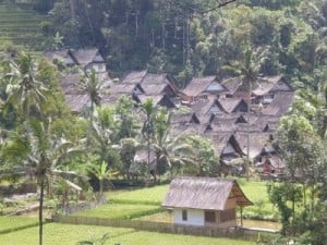  DESA WISATA Banyak yang Tetap Bertahan Jadi Embrio