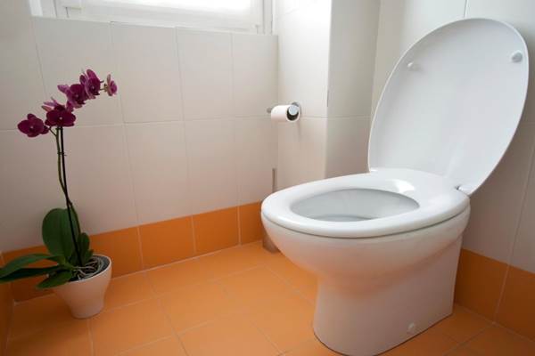  Demi Toilet, Janda Ini Rela Mengemis