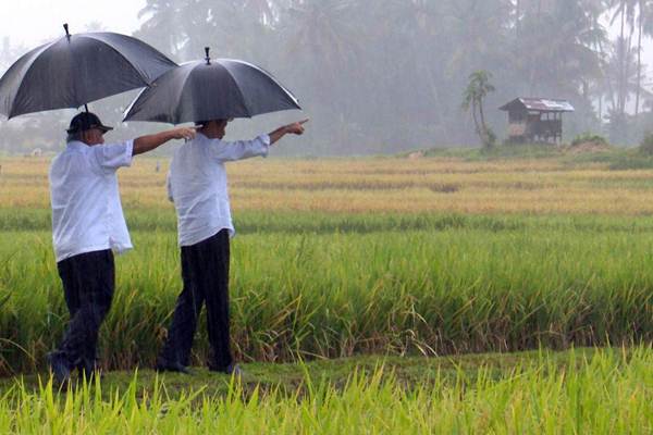  Presiden Jokowi Tinjau Aktivitas Padat Karya Tunai di Ambon