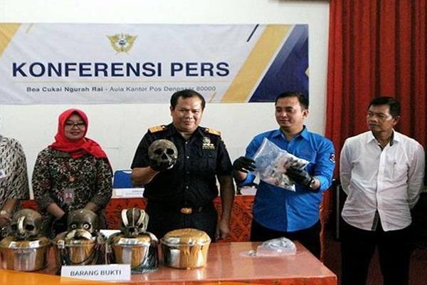  Bea Cukai Ngurah Rai Amankan Barang Kiriman Pos Berisi Tengkorak Manusia