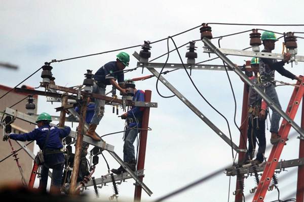  Bali Krisis Listrik, Conservation Indonesia Silakan Jawa Bali Crossing Dibangun