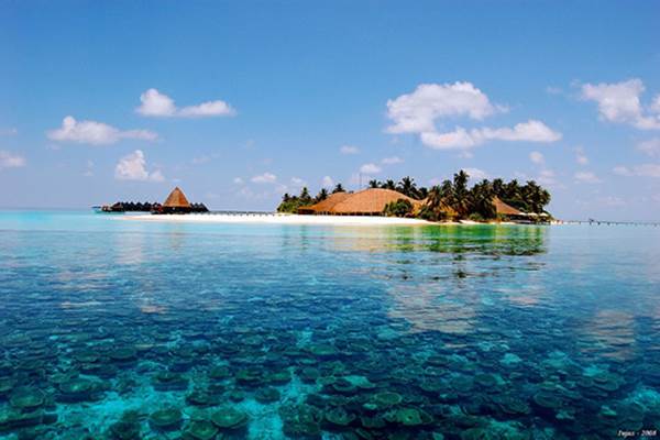 Pulau Madaveli, Maladewa/venere.com