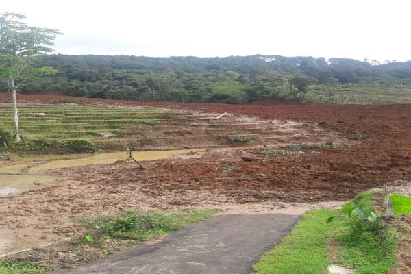  Sebelas Petani Tertimbun Longsor di Brebes