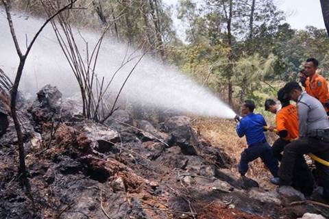  Badan Restorasi Gambut Tinjau Karhutla di Dumai