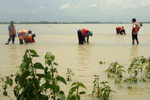  Rel Kereta Api di Brebes Terendam Banjir