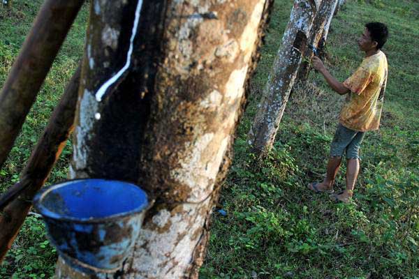  Cadangan di China Meningkat, Karet Tertekan