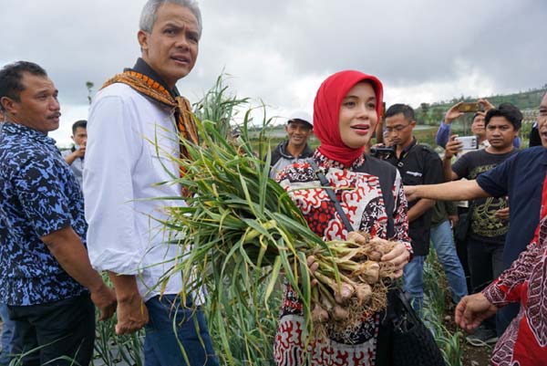  Petani Bawang Putih Temanggung Adukan Surat Edaran Kementan