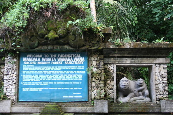  Kawasan \'Monkey Forest\' Terus Diperluas Menjadi 22 Hektare