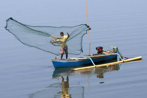 Denpasar Kembangkan Ikan Gabus di Aliran Sungai