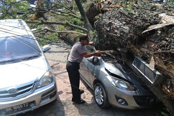  Hujan Deras dan Angin Kencang Landa Bandung, Tiga Pohon Tumbang