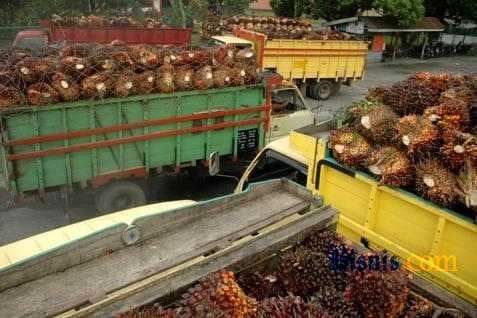  Kaltim Punya Pabrik Pengolahan Sawit Berkapasitas 4.355 Ton per Jam