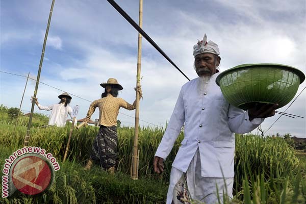  Perusda Bali Kerjasamakan Aset Lahan 1.300 Hektare