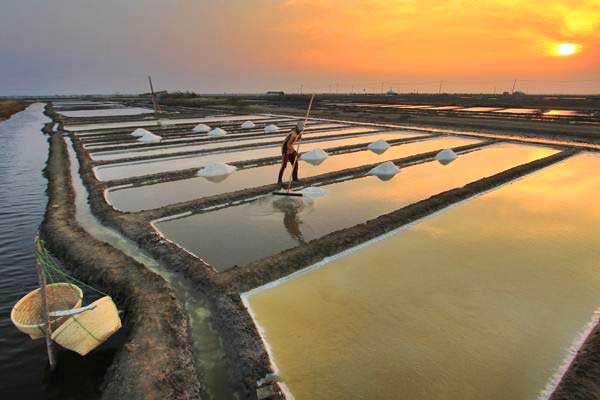  Menperin: Garam Sama Pentingnya dengan Bahan Baku Lain