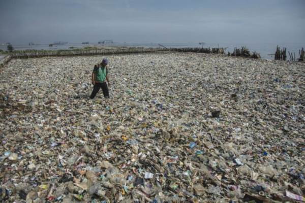  Sampah Menumpuk di Muara Angke, Pemprov Janji Seminggu Bersih