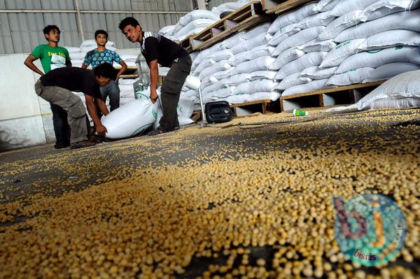  Harga Kedelai Impor di Kudus Naik