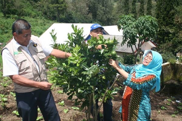  Agro Techno Park Cangar & Jatikerto Akan Jadi Objek Wisata Edukasi