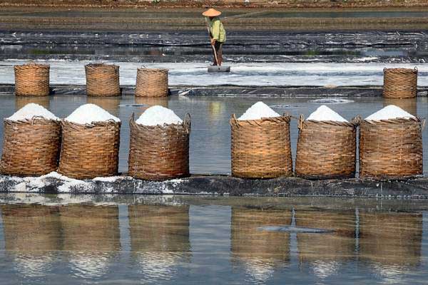  Rekomendasi Impor Garam Industri Masih Tunggu Panen Lokal