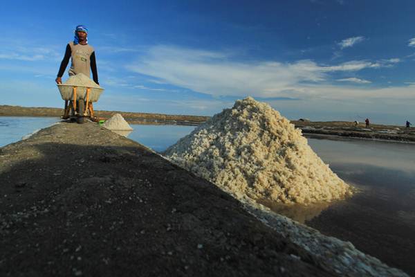  Industri Pengguna Garam Dukung Penyerapan Produk Lokal