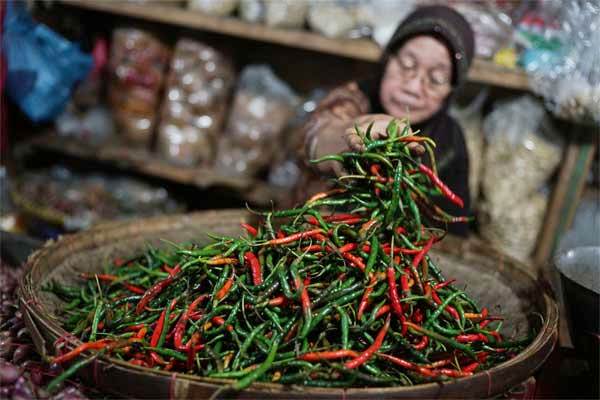 Ilustrasi: Pedagang cabai di sebuah pasar tradisional./Bloomberg-Dimas Ardian