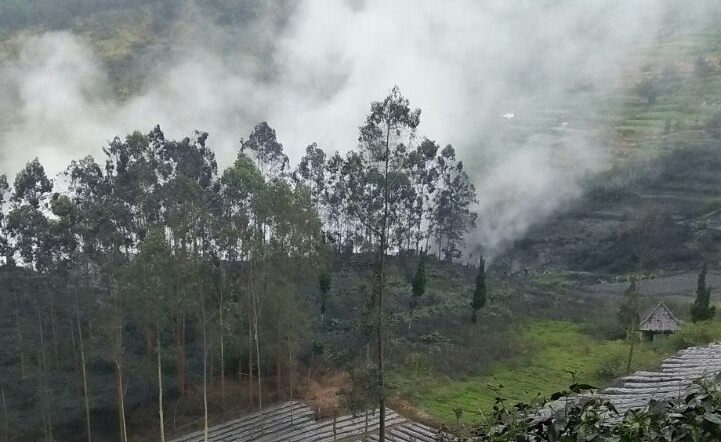  Kawah Sileri Gunungapi Dieng Meletus, Kondisi Aman