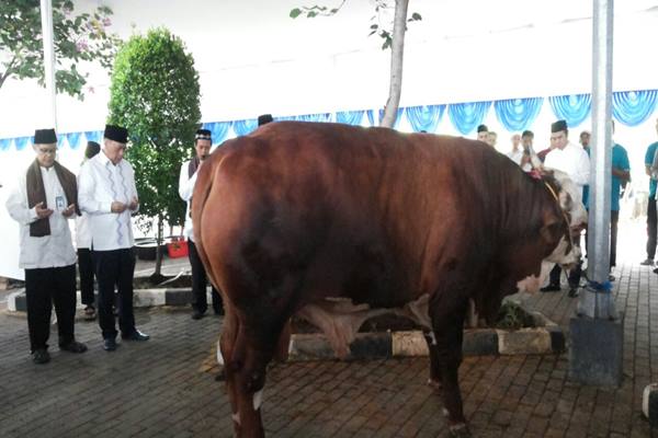  DAGING SAPI : Semen Beku untuk Swasembada