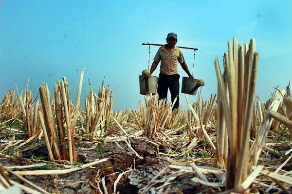  Nilai Tukar Petani Pada Maret Turun 0,39%