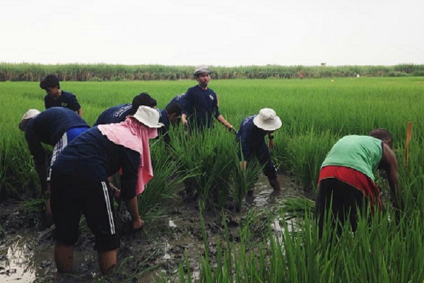  UMM Perkenalkan Smart Village Konsep Bangun Desa