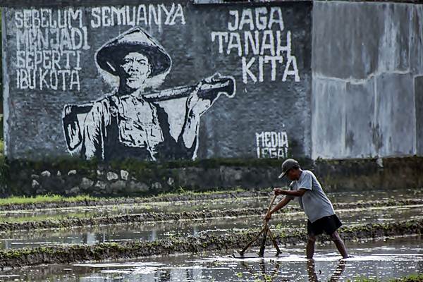  Pemerintah Mulai Rumuskan Aturan Perlindungan Lahan Sawah