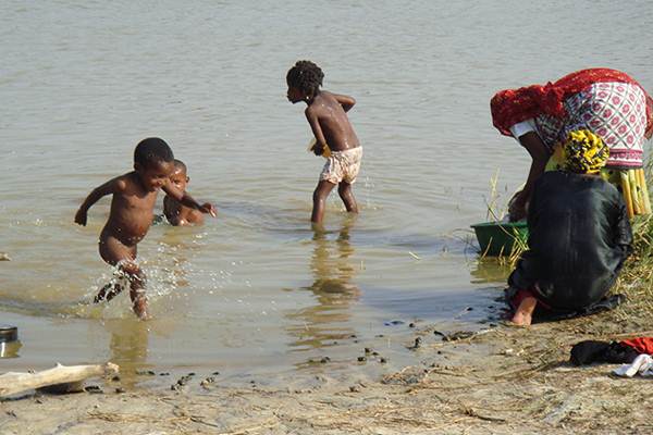  Schistosomiasis : Si Demam Siput atau Bilharzia Akibat Cacing Pipih Schistosoma