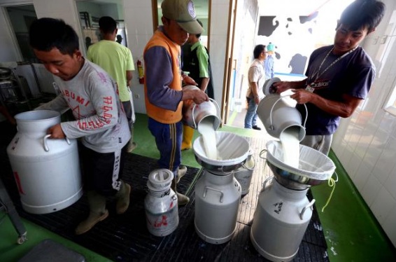  Pelaku UKM Kota Cirebon Dibekali Pelatihan Tematik Produk Olahan Hasil Peternakan
