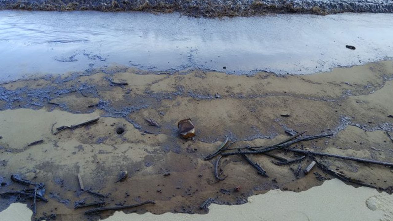  Tumpahan Minyak di Teluk Balikpapan, Pertamina Sediakan Posko Kesehatan untuk Warga 