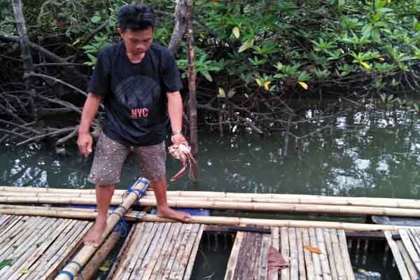  Walhi : Minyak Sudah Tidak Ada Tapi Ekosistem Teluk Balikpapan Rusak