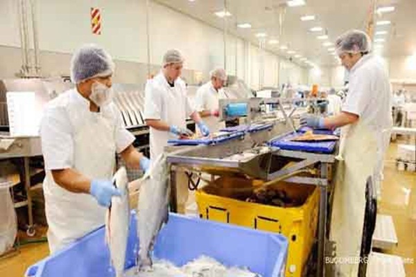  Cacing di Ikan Kalengan: Produsen Sulit Perkirakan Kapan Kepercayaan Konsumen Pulih