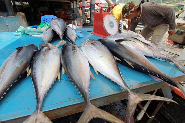  Sulit Dapatkan Data Ikan Kalengan, Kemendag: Ekspor Ikan Tak Diatur, Bisa Ditanya ke KKP 