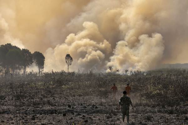  Kebakaran Lahan di Sumsel Mulai Terdeteksi
