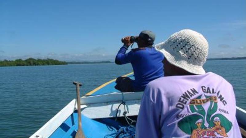  TUMPAHAN MINYAK : Kelompok Besar Pesut Bermigrasi ke Hulu Teluk Balikpapan