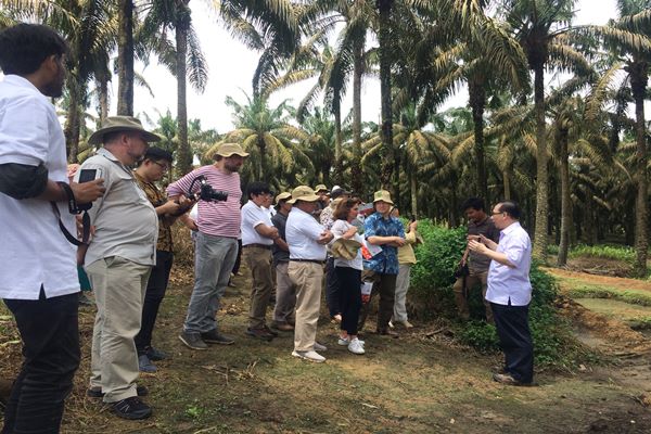   Perwakilan Uni Eropa dan Pemerintah Tinjau Kebun Kelapa Sawit Asian Agri