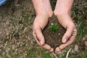  KLHK Kenalkan Konsep Urban Farming di Cirebon