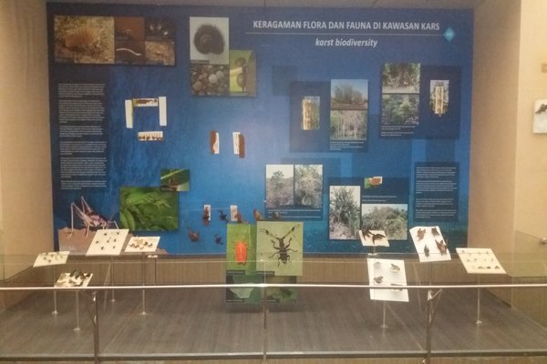  Museum Karst Dibuka Lagi Setelah Lima Bulan Tutup Akibat Terimbas Banjir