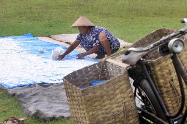  KEBIJAKAN PANGAN : Strategi Pengembangan Pangan Fungsional