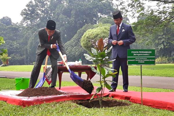  Jokowi Ajak Hassanal Bolkiah Tanam Pohon Perdamaian