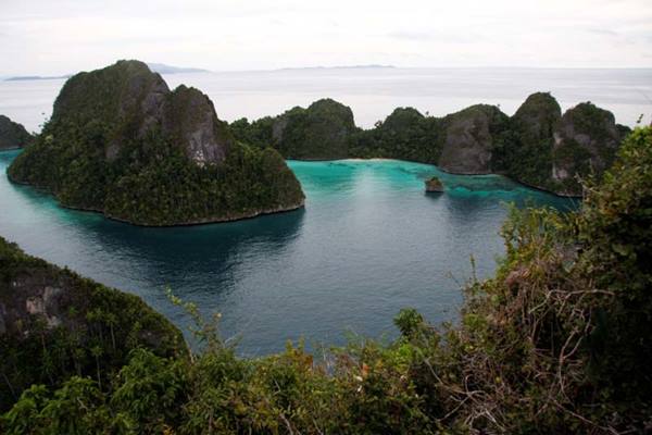  Pemkab Raja Ampat Luncurkan Modul Muatan Lokal Pendidikan Lingkungan