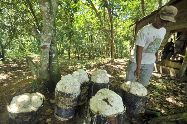  Perusahaan Perkebunan Didorong Gunakan Sekat Kanal Berbahan Baku Karet