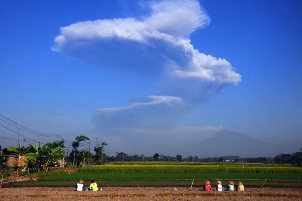  Gunung Merapi Alami Letusan Freatik