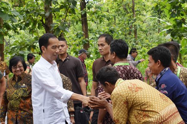  KTP Pemukim Hutan Terkendala Izin Pelepasan Kawasan Hutan