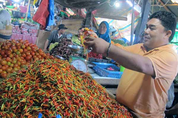  Tomat Sayur Sering Bikin Galau TPID Sulut