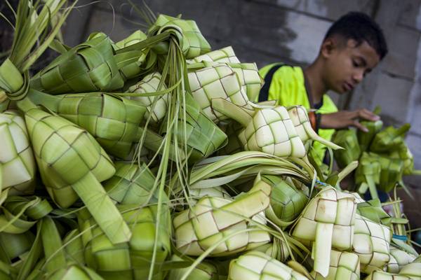  Berburu Selongsong Ketupat