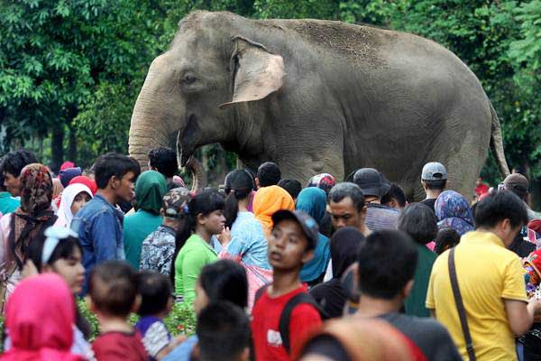  Libur Lebaran, Ragunan Siapkan 26 Kantong Parkir