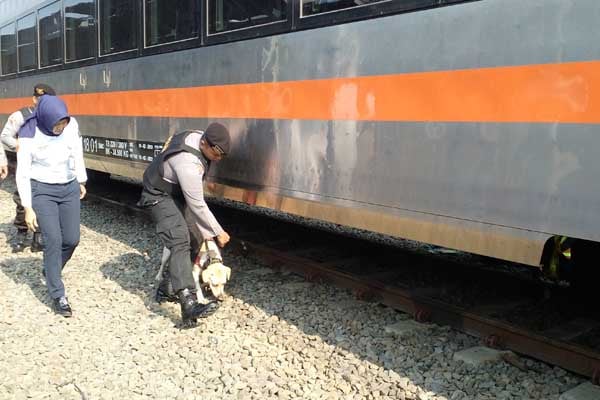  Pemudik Melahirkan di Kereta Tujuan Surabaya, Ini Saran KAI Bagi Ibu Hamil 