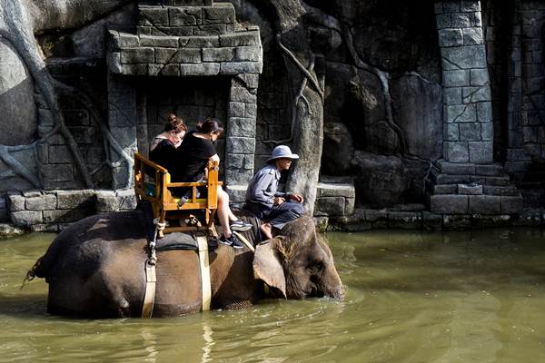  Berlibur ke Bali Zoo